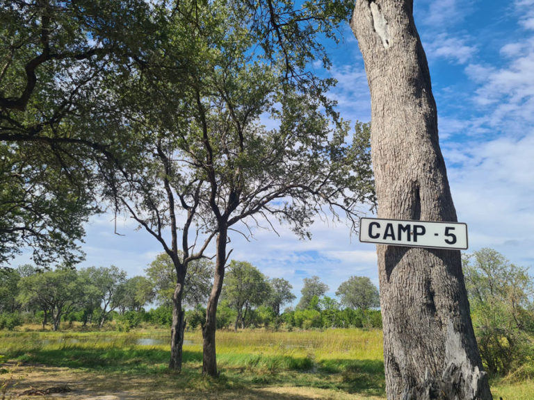 Mbudi Camp 5