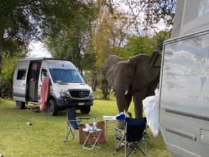 Read more about the article Blog Nr. 21: Zimbabwe Teil 3