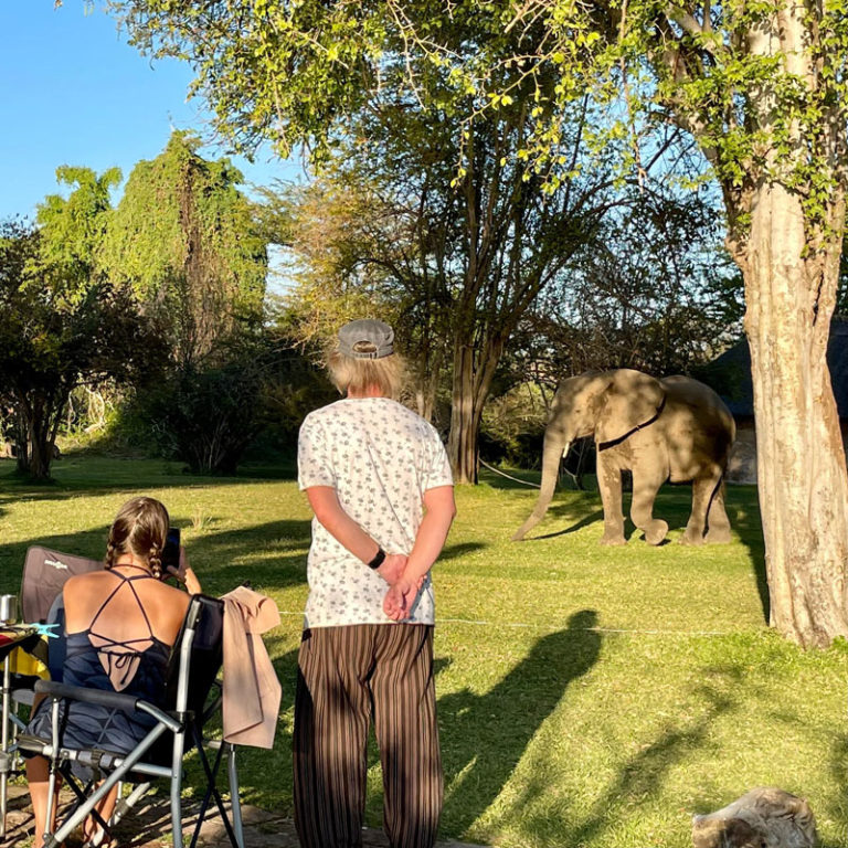 Tanja, Cello und Elefant