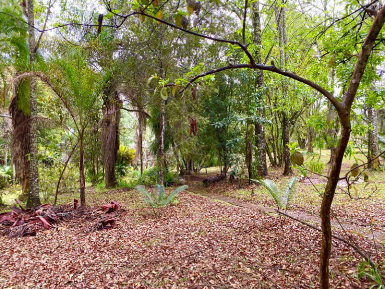 Botanischer Garten