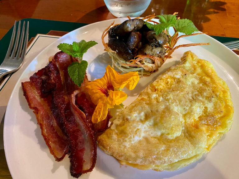Kater-Frühstück