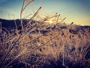 07-Div-Morgenstimmung-4