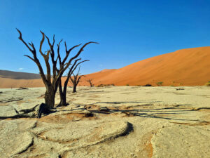 08-Nam-T1-201129_Deadvlei1