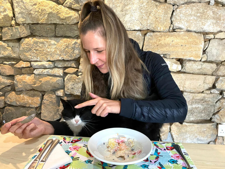Frühstück mit Katzenbegleitung