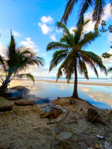 24-MOZ-T1-05-03-Morrungulo
