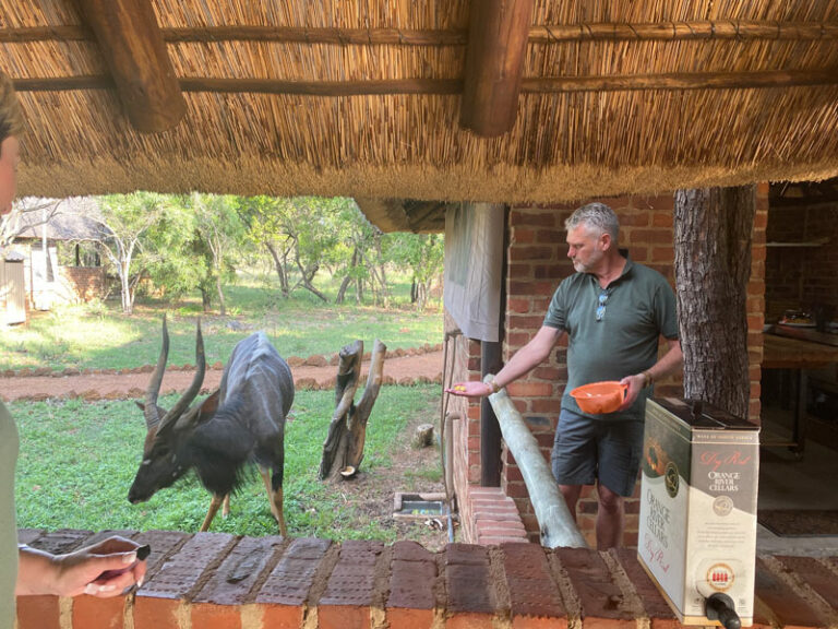 Willy füttert seine Tiere