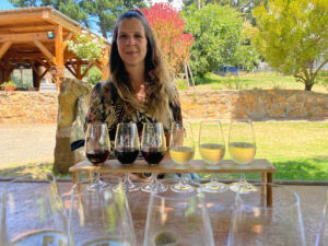 Read more about the article Blog 31: Südafrika T6: Garden Route, Weinregion, Cape Town und bis zur Grenze Namibias