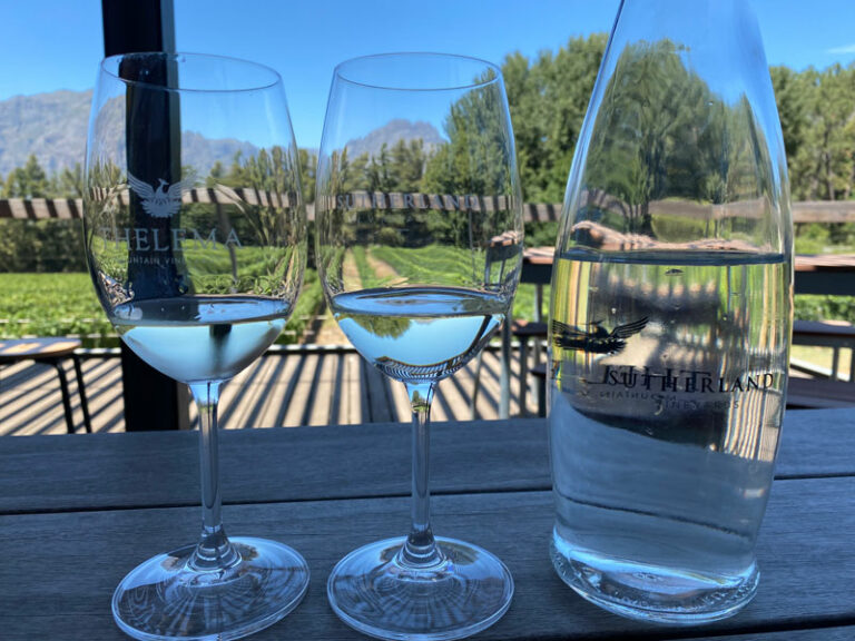 Weinprobe bei Thelema
