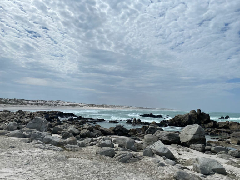 West Coast NP