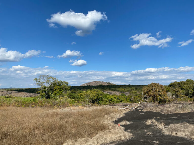 Mutinondo Wilderness
