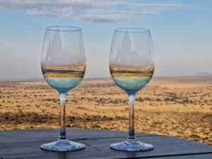 Read more about the article Tansania: Sieben Tage Safari (Blog 43)