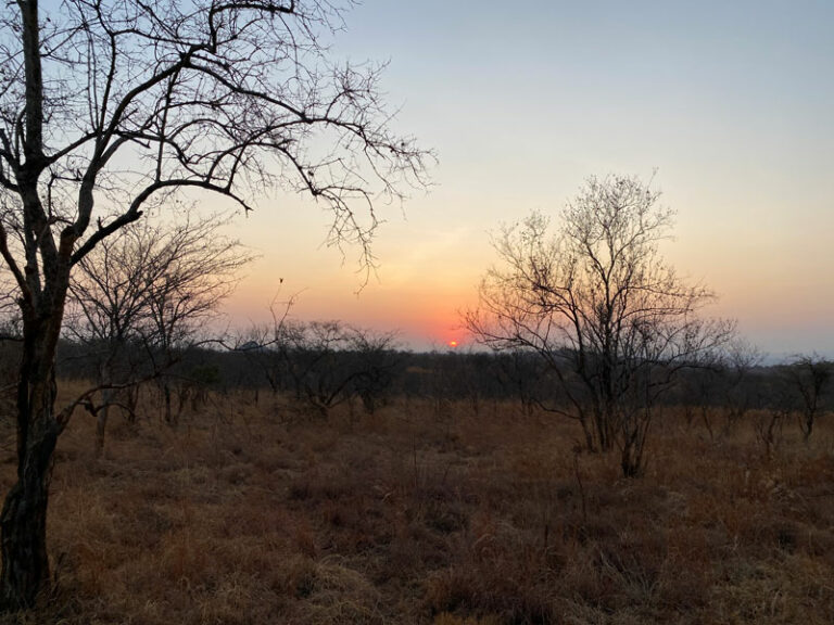 Morgenstimmung im Tarangire NP