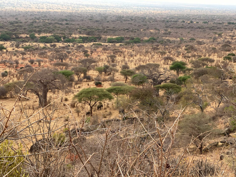 Aussicht von der Terrasse der Lemala Mpingo Ridge Lodge
