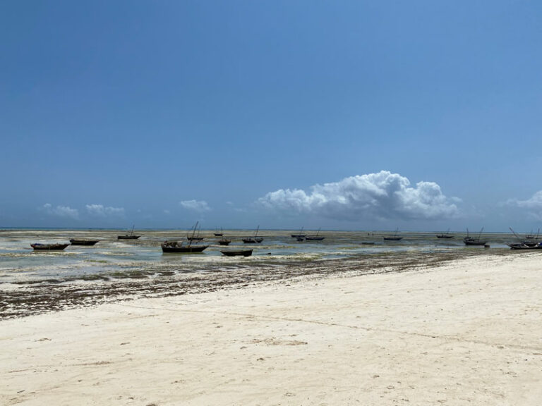 Der Strand bei Ebbe