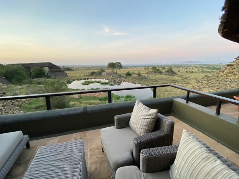 Unsere Terrasse mit Sicht aufs Wasserloch