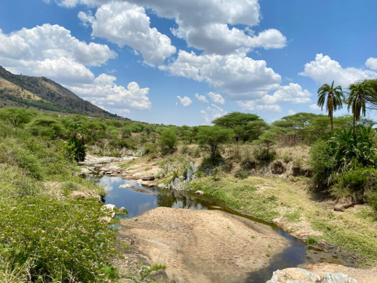 Natur in der Nähe der Hippo-Pools