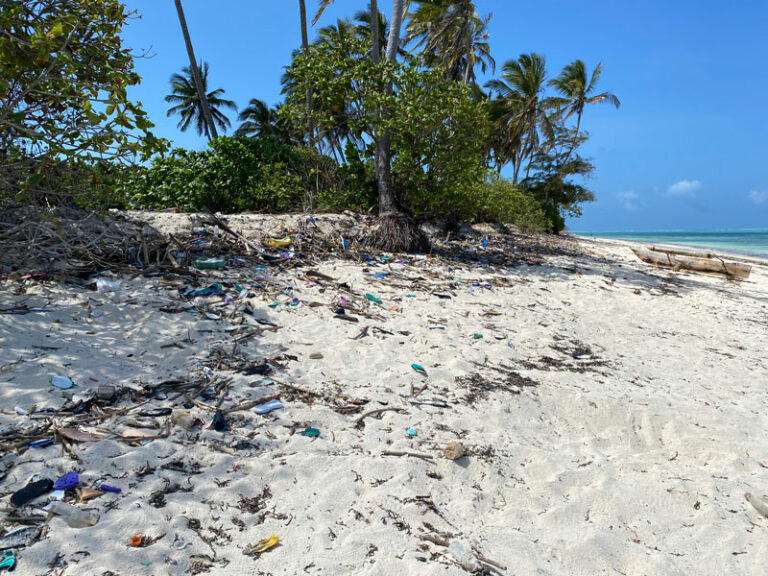 Abfall am Strand