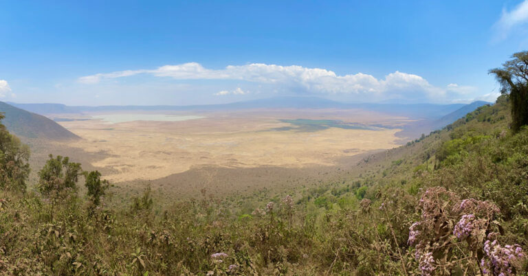 Aussicht auf den Ngorongoro Krater