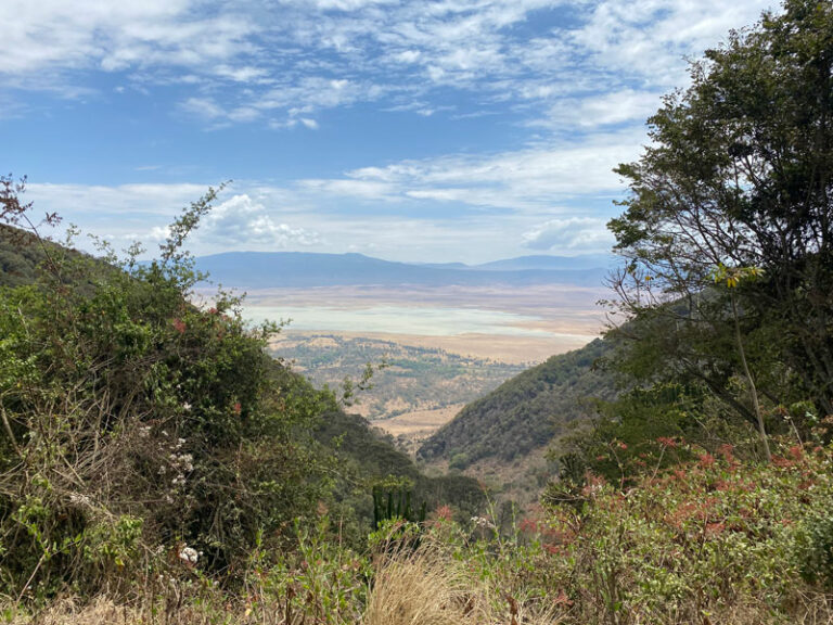 Aussicht auf dem Weg aus dem Krater
