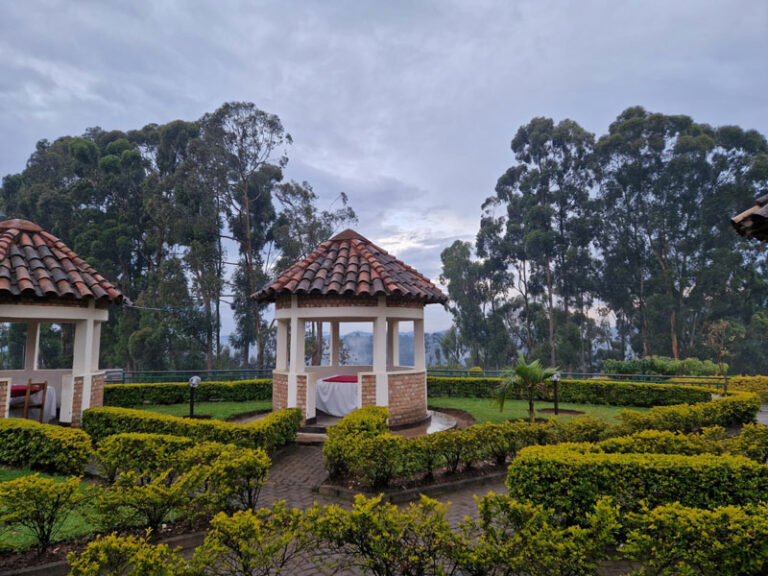 Kitabe Tee Farm