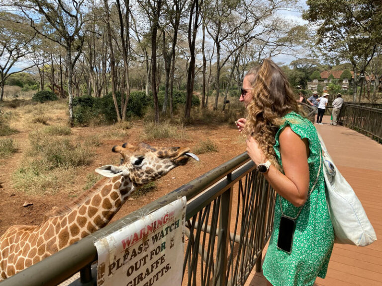Tanja und die Giraffe
