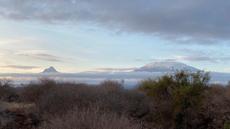 Kilimanjaro😍