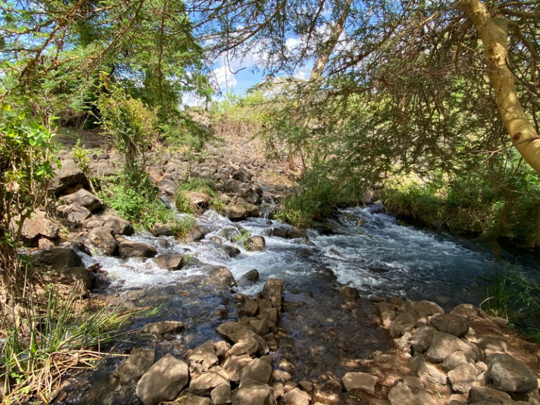 Unglaubliche Wassermassen bei Mzima Springs