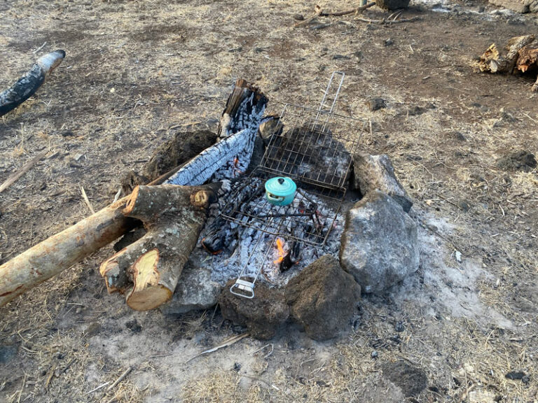 Die Zwiebeln sind auf dem Feuer
