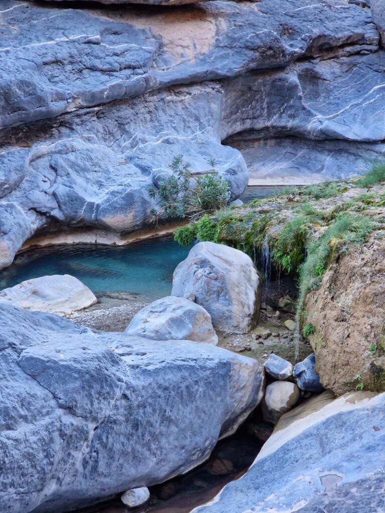 Schöne Pools - leider haben wir unsere Badehosen im Mojito gelassen😒