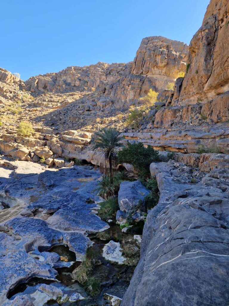 Wadi Damm