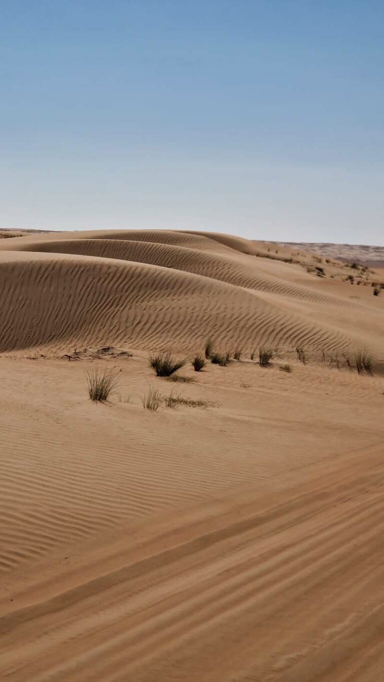 Wahiba Sands