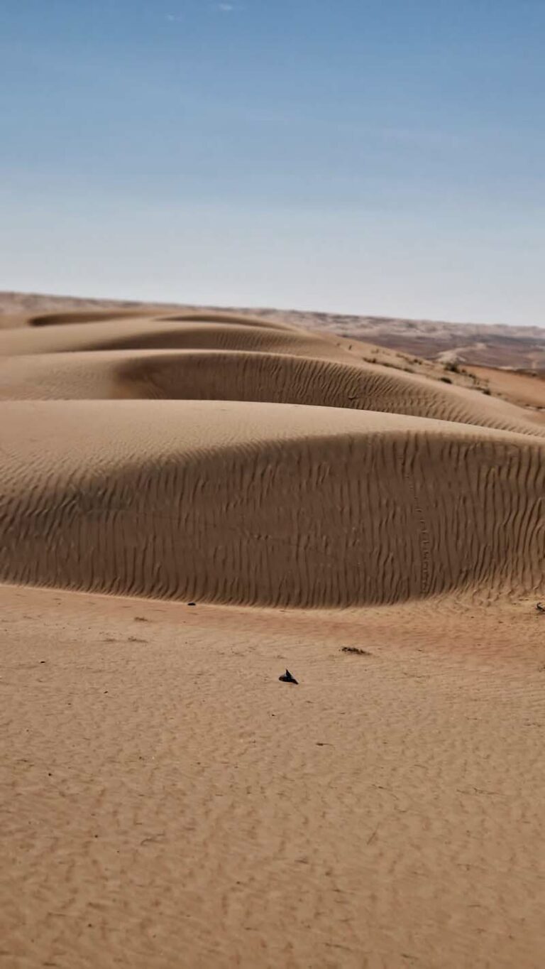 Wahiba Sands