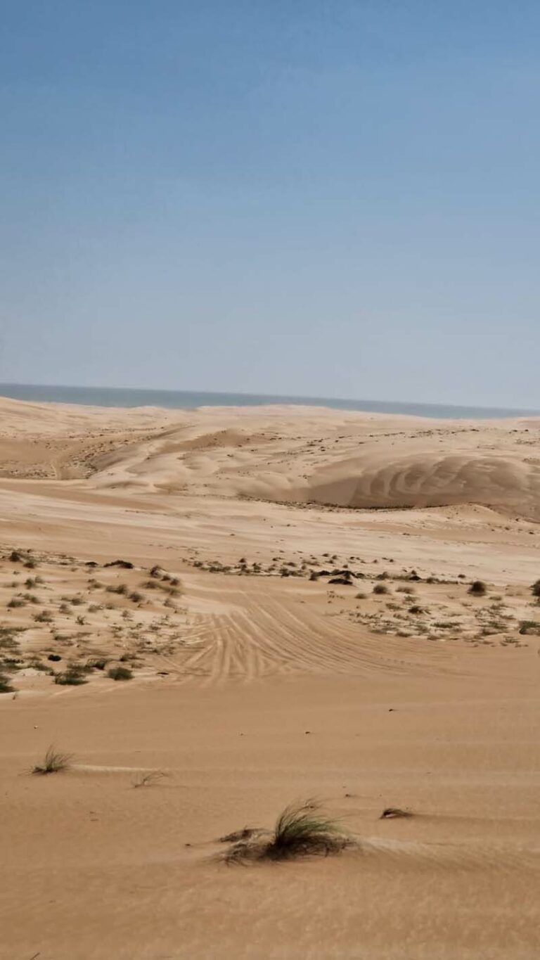 Schon bald lassen wir die Wahiba Sands hinter uns