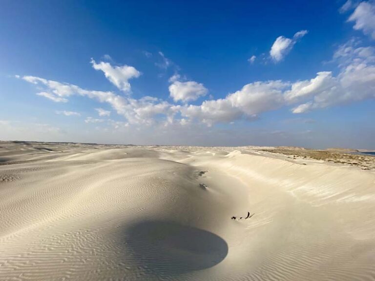 Die Weiten der Sugar Dunes