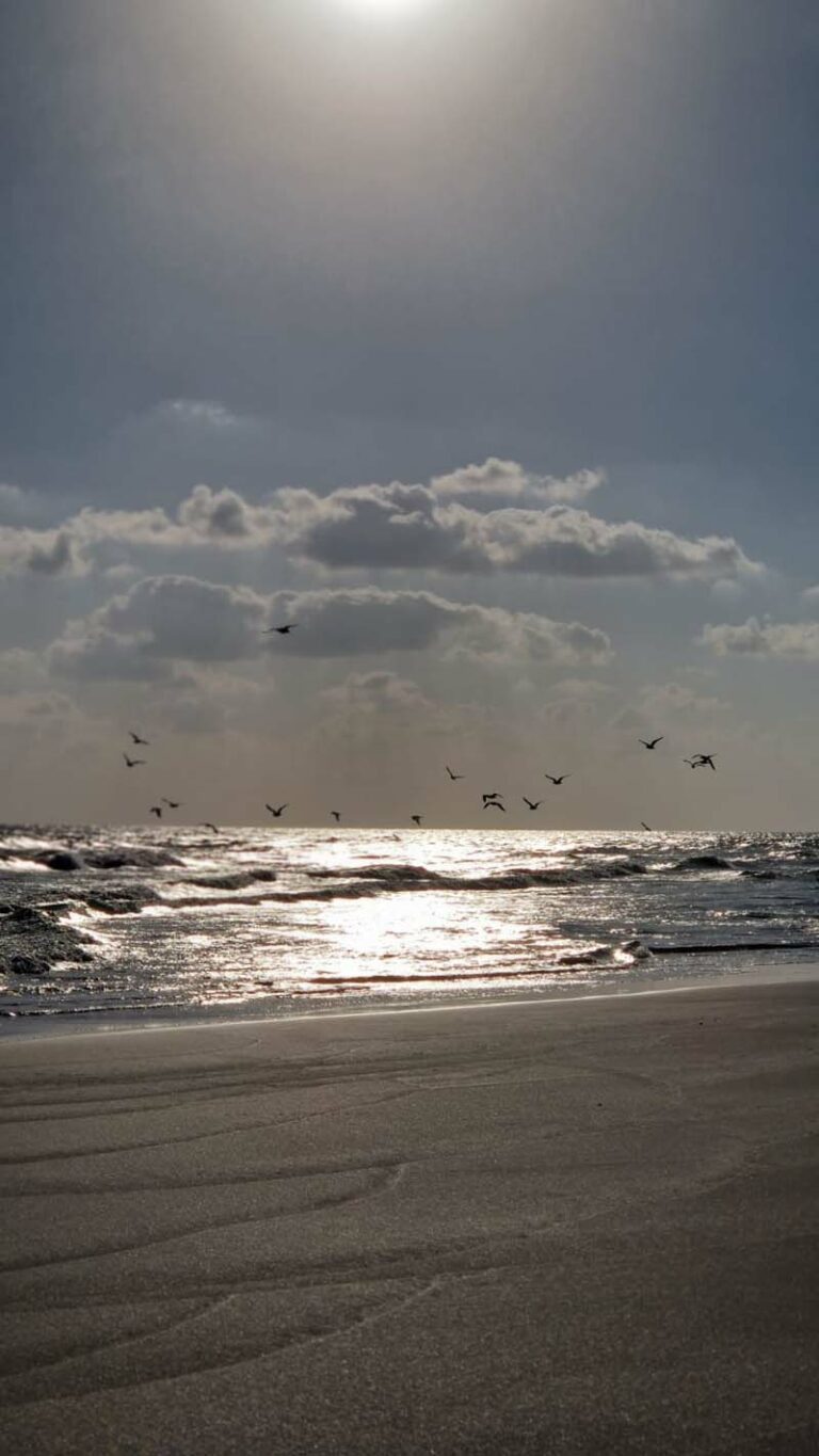 Wunderschöne Abendstimmung