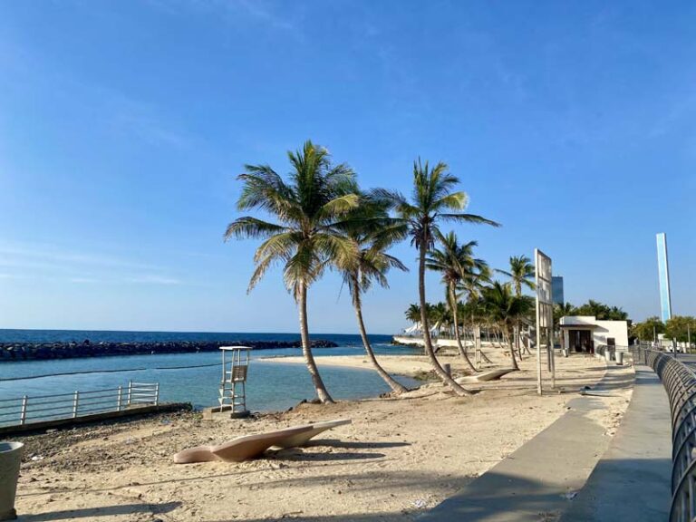 Palmen am Corniche
