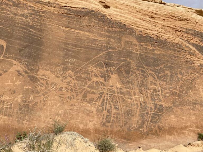 Petroglyphen: Riesige Kamele