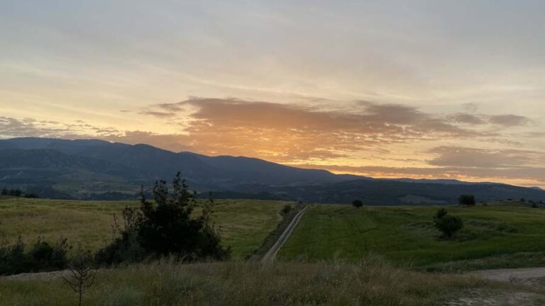 Morgenstimmung