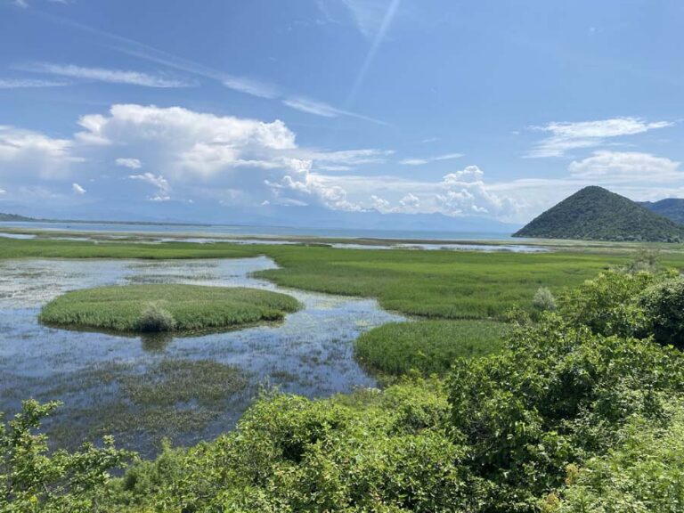 Ausblick auf den Skutarisee