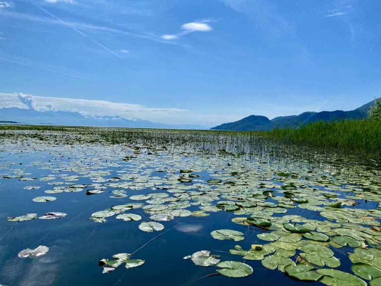Wunderschöner Skutarisee