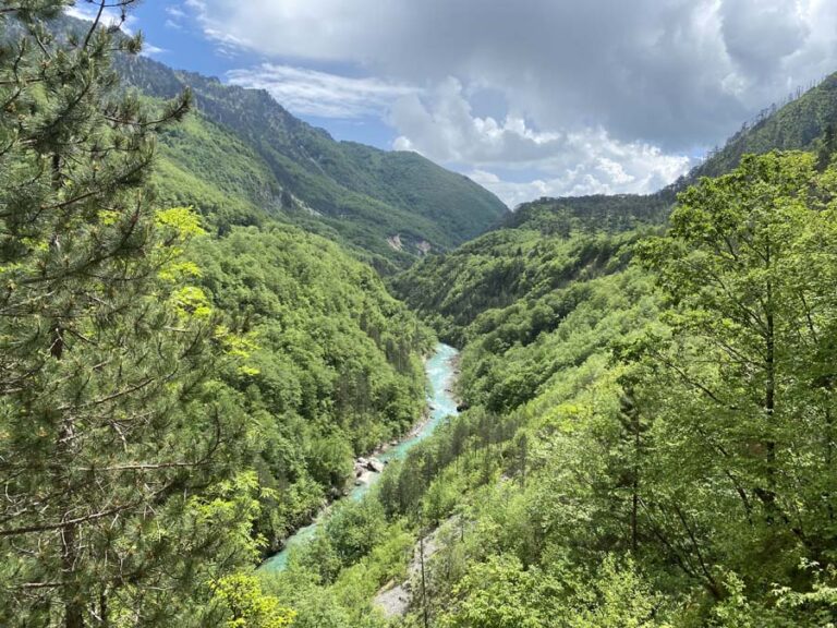 Der Tara Fluss