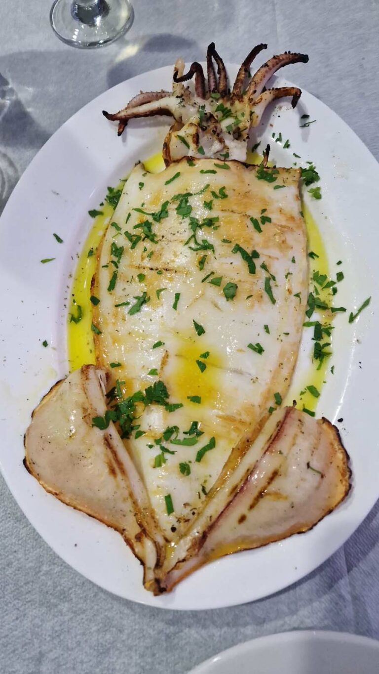 Feiner Tintenfisch