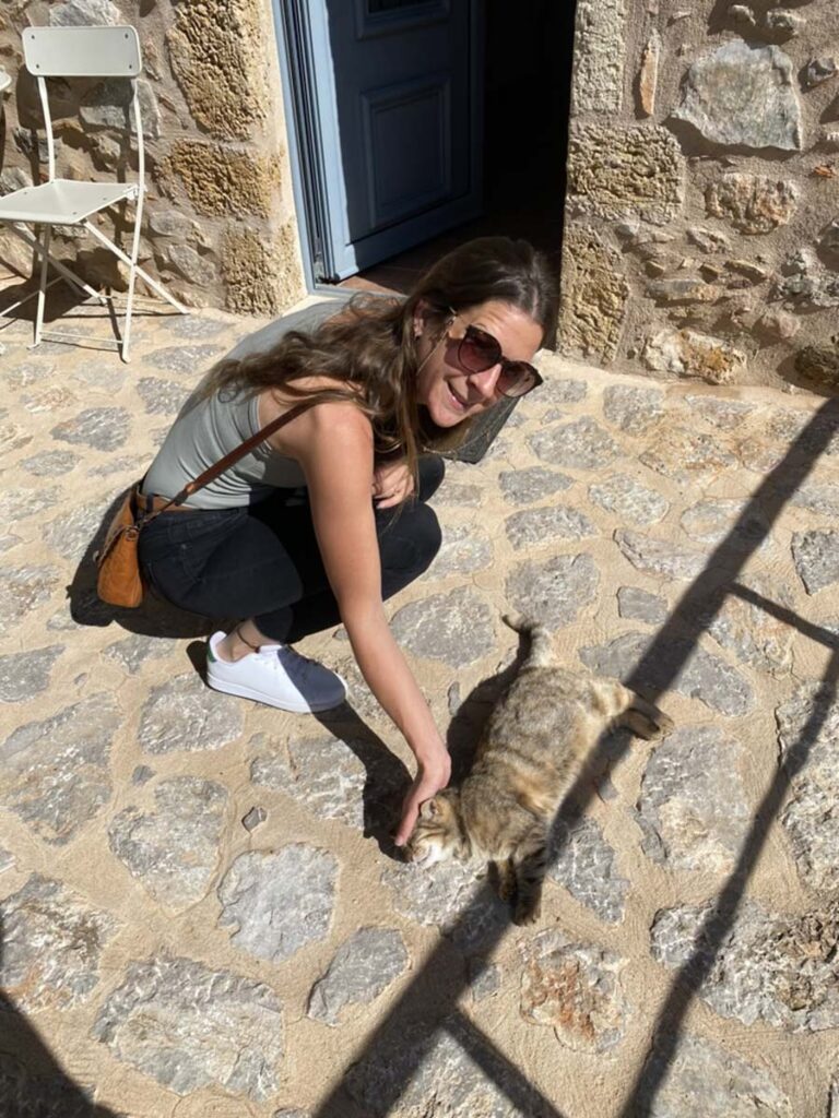 Unsere Hauskatze